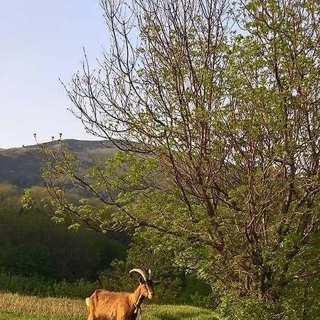 Agriturismo Grilla Farm stay