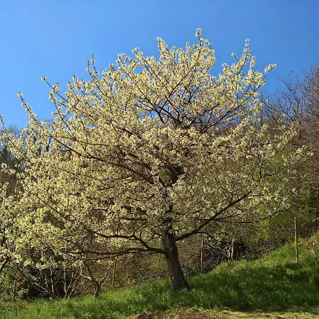 Agriturismo Grilla Farm stay *