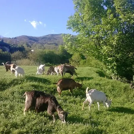 Agriturismo Grilla